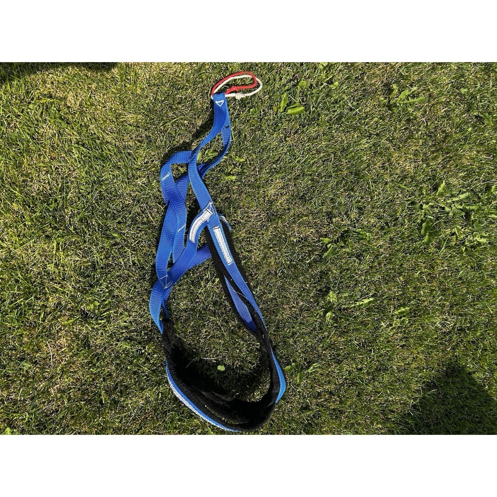 Alpine Outfitters Dog Sled Pulling Harness Blue Padded Canicross Skijoring